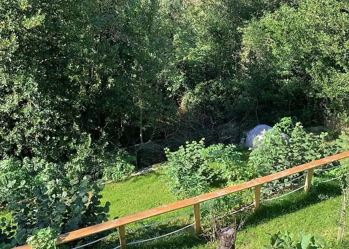 Al Bosco Incantato Bed & Breakfast Terst