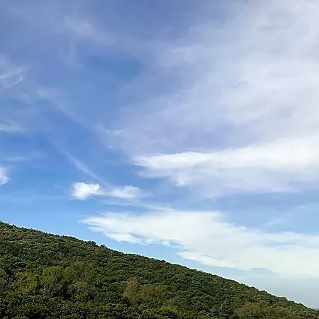 Al Bosco Incantato 4* トリエステ